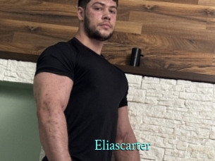 eliascarter xxx Fantasy Land