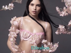 Elihodson