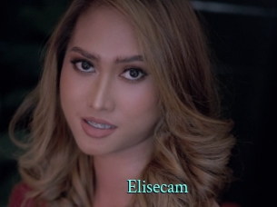 Elisecam