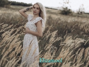 Elizamool