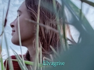 Elvagrise