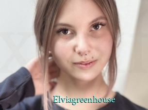 Elviagreenhouse