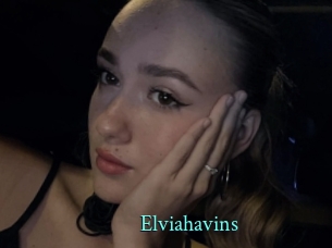 Elviahavins