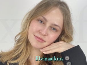 Elvinaatkins