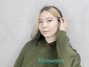 Elvinaaytes