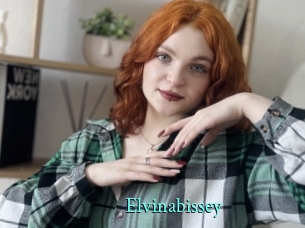 Elvinabissey