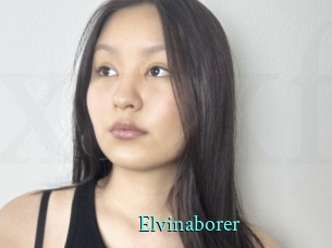 Elvinaborer