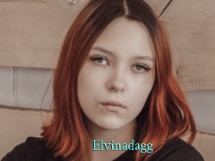 Elvinadagg