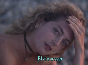 Elvinaesser