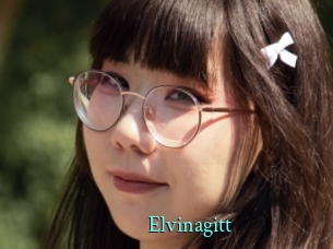 Elvinagitt