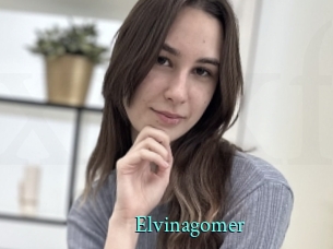 Elvinagomer
