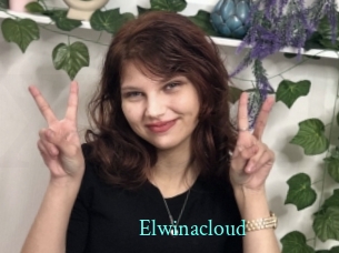 Elwinacloud