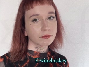 Elwinebuskey