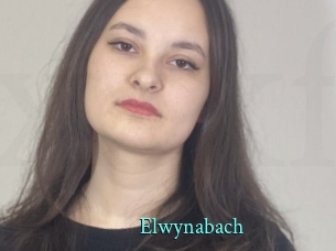 Elwynabach