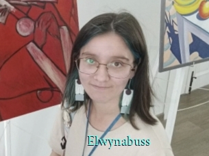 Elwynabuss