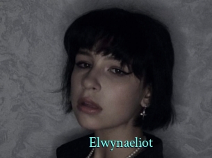 Elwynaeliot