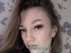 Elwynafoss
