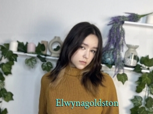 Elwynagoldston