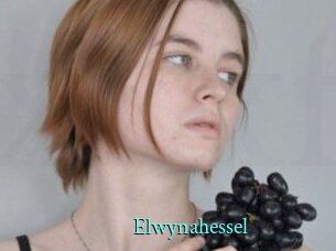 Elwynahessel