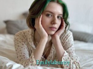 Emilylabunny