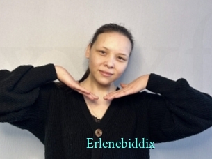 Erlenebiddix