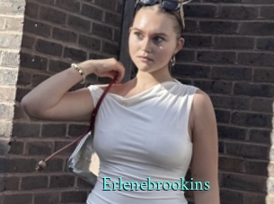 Erlenebrookins