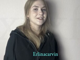 erlinacarvin xxx Fantasy Land