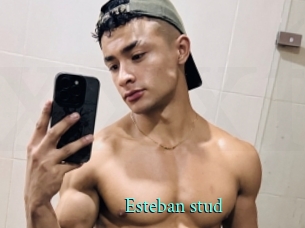 Esteban_stud
