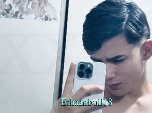 ethaanbull18 xxx Fantasy Land