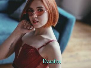Evaafox