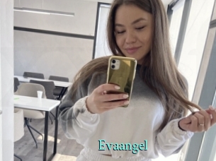Evaangel