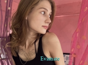 Evamate