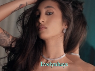 Evelynhays