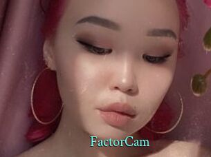 FactorCam