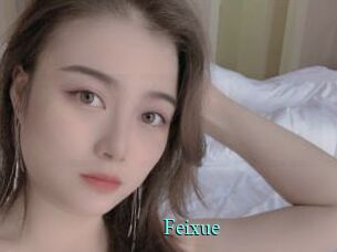 Feixue xxx Fantasy Land