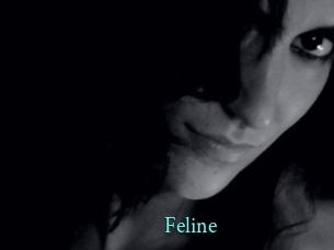 Feline xxx Fantasy Land
