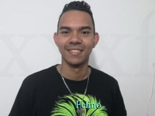 Felino