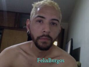 FelixBurgos xxx Fantasy Land