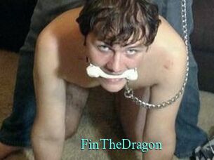 FinTheDragon