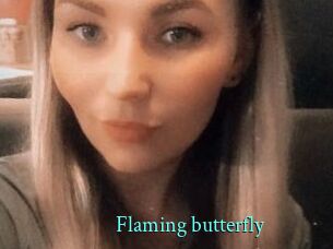 Flaming_butterfly