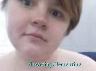 FloweringClementine