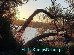 FluffsRumpsNHumps xxx Fantasy Land