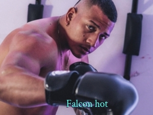 falcon_hot xxx Fantasy Land