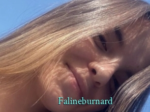 Falineburnard