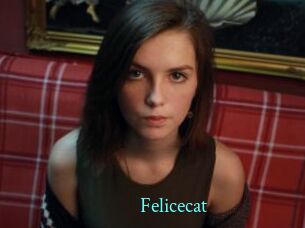 Felicecat