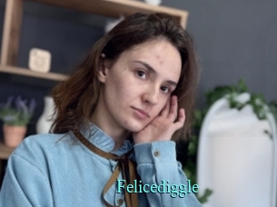 Felicediggle