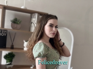 Felicedrover