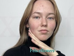 Feliceflowers