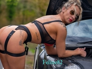 Feline82