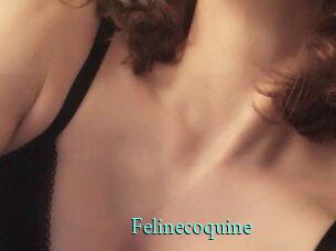 Felinecoquine